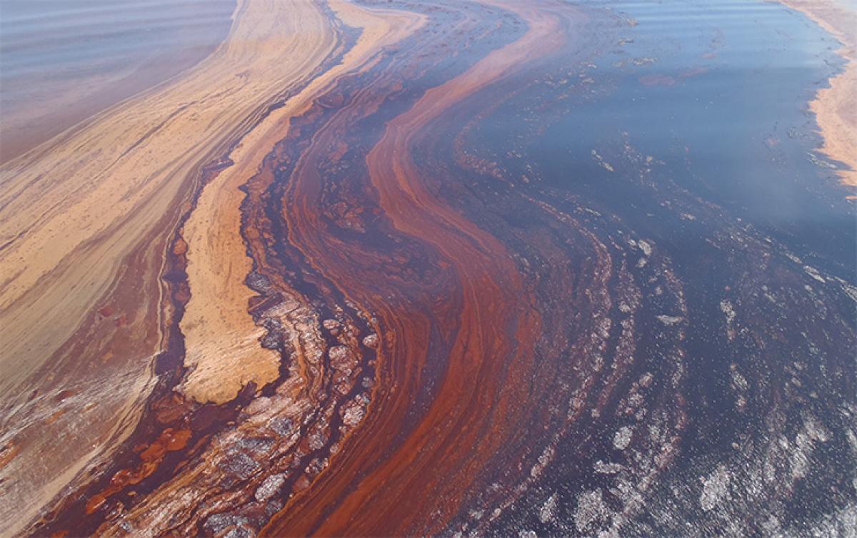 Saudi engineer invents biotechnology to clean oil spills